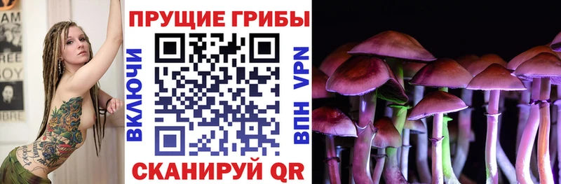 Галлюциногенные грибы мицелий Октябрьск