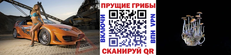 blacksprut маркетплейс  сайты даркнета формула  Псилоцибиновые грибы Cubensis  Октябрьск 